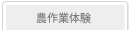 農作業体験