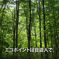 エコポイントは自遊人で