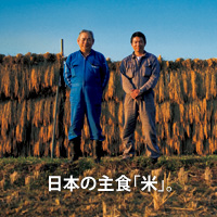 自然・安全・日本の食「膳」　日本の主食、「米」